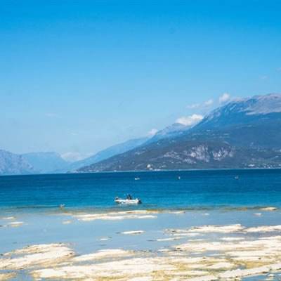 双赢彩票官方网站