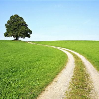 2023年香港资料精准手机app下载