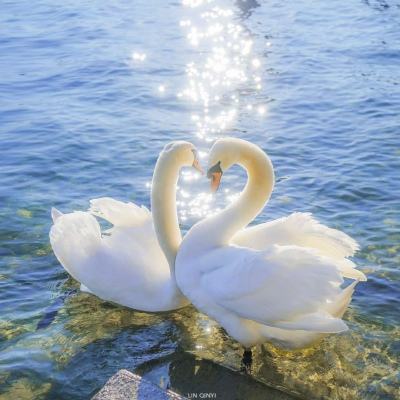 新万博ManBetX客户端