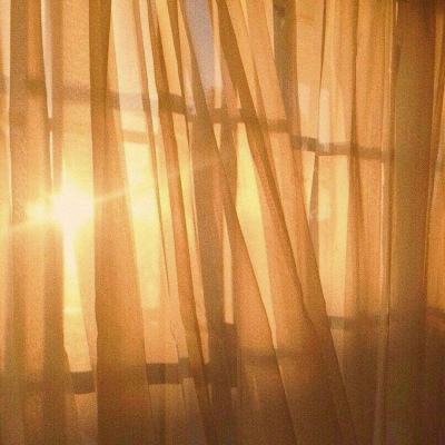 半岛平台半岛官方下载