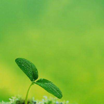 快3大秀平台推荐