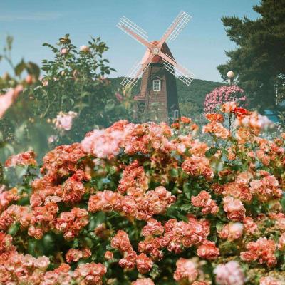 亿博手机端app下载安装